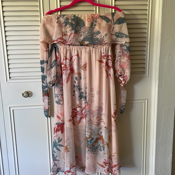 Express Floral Dress - Picture 5 of 6